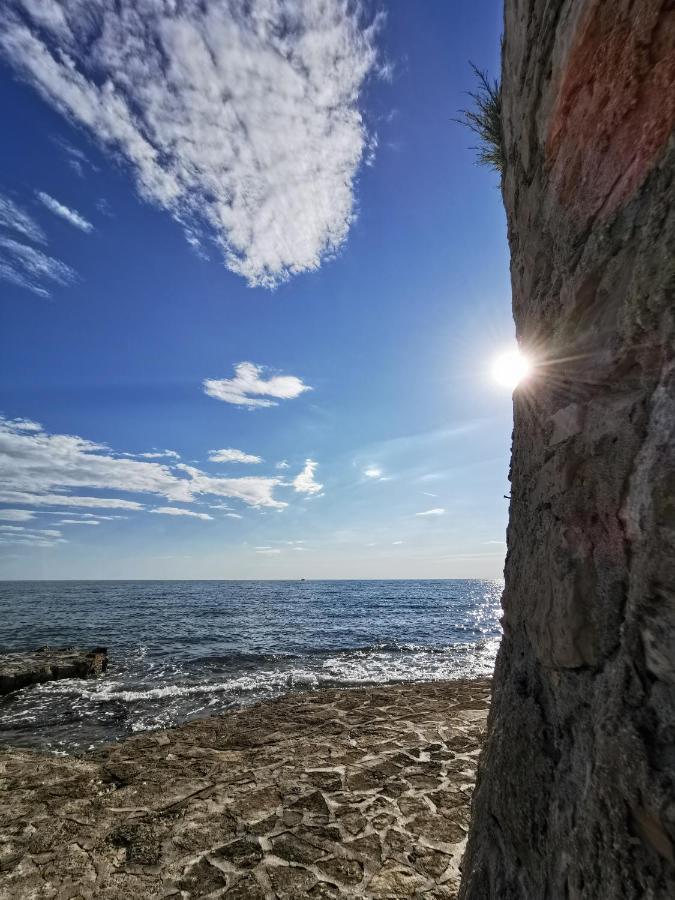 Lara Deluxe Superior 5 Star Apartment, Your Piece Of Heaven By The Sea & Park Novigrad  Екстер'єр фото